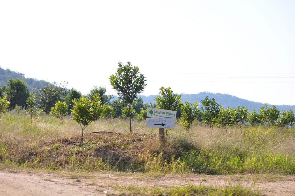 Laughing Waters Guest House Hazyview Kültér fotó
